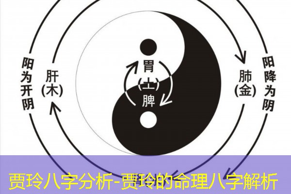  贾玲八字分析-贾玲的命理八字解析
