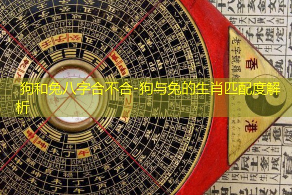  狗和兔八字合不合-狗与兔的生肖匹配度解析