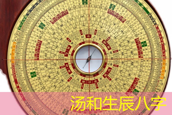  汤和生辰八字
