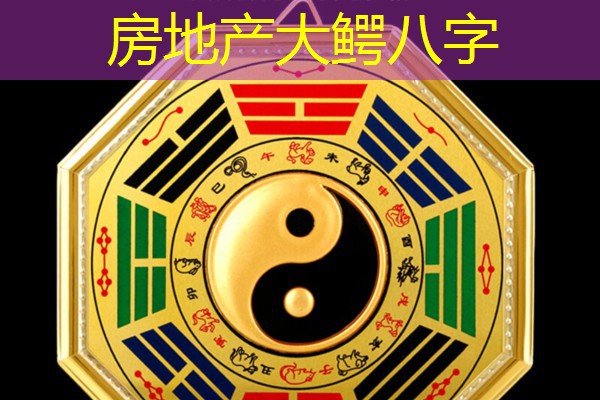  房地产大鳄八字
