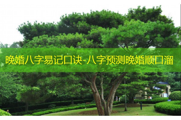  晚婚八字易记口诀-八字预测晚婚顺口溜