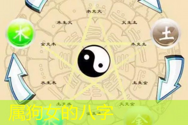  属狗女的八字