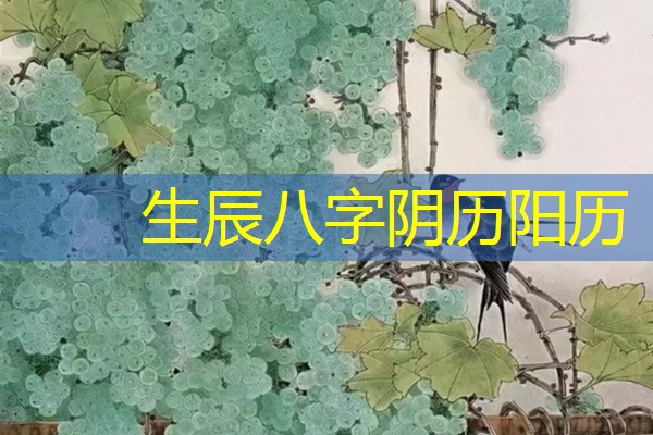  生辰八字阴历阳历