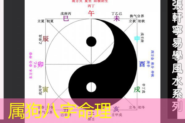  属狗八字命理