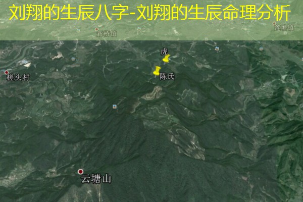  刘翔的生辰八字-刘翔的生辰命理分析