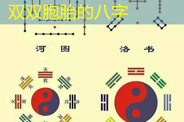  双双胞胎的八字