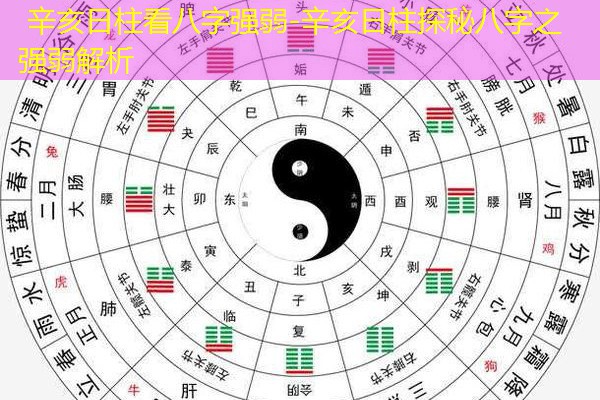  辛亥日柱看八字强弱-辛亥日柱探秘八字之强弱解析