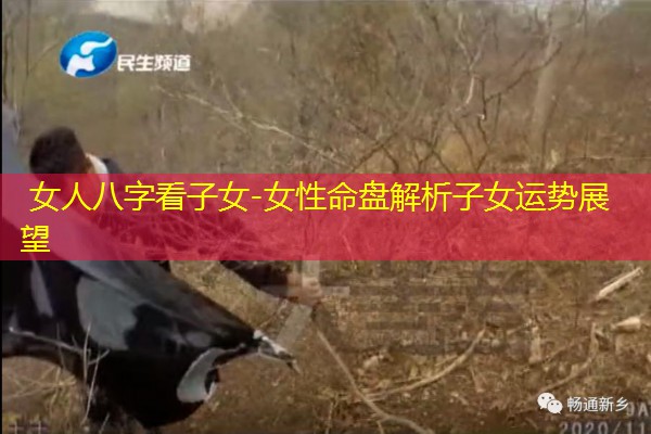 女人八字看子女-女性命盘解析子女运势展望