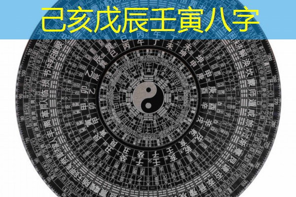  己亥戊辰壬寅八字