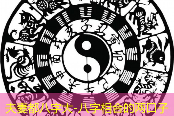  夫妻都八字大-八字相合的两口子