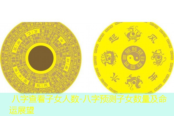  八字查看子女人数-八字预测子女数量及命运展望