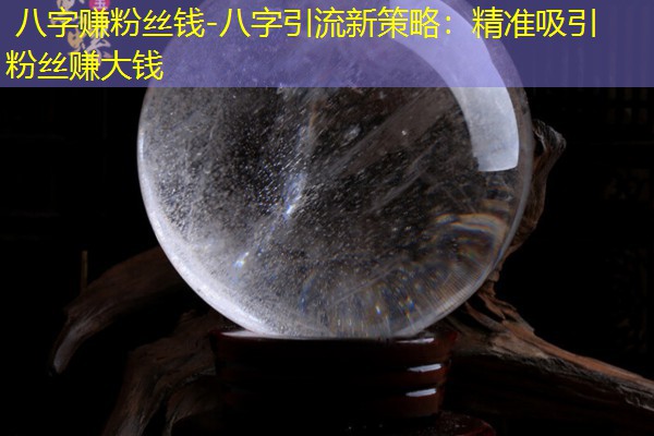  八字赚粉丝钱-八字引流新策略：精准吸引粉丝赚大钱