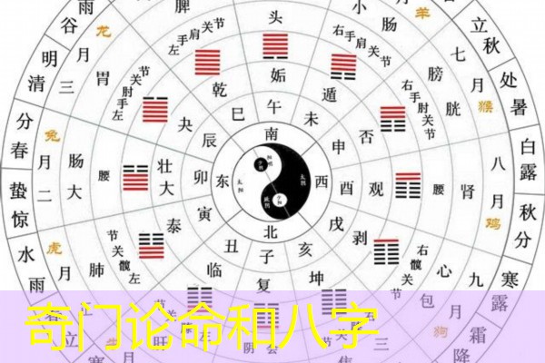  奇门论命和八字