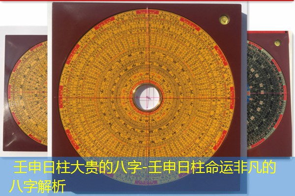  壬申日柱大贵的八字-壬申日柱命运非凡的八字解析