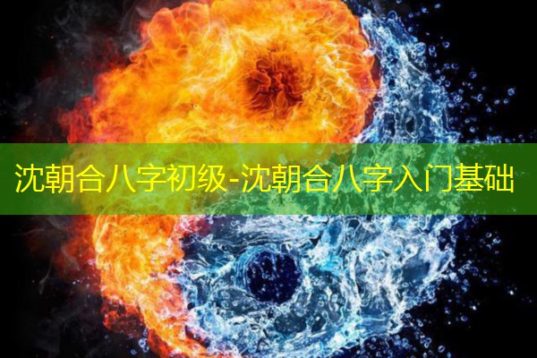  沈朝合八字初级-沈朝合八字入门基础