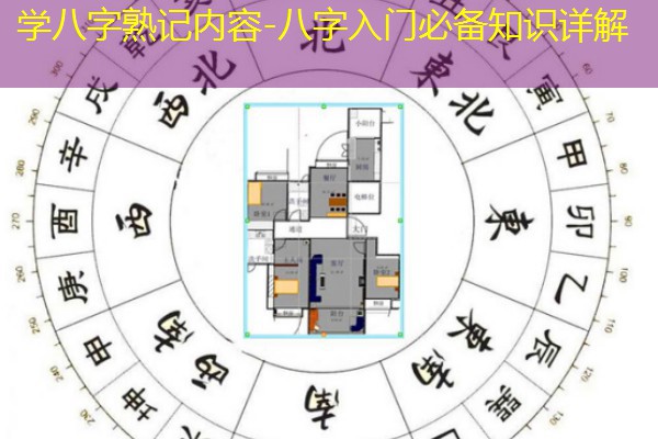  学八字熟记内容-八字入门必备知识详解