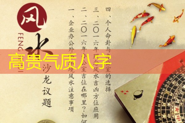  高贵气质八字