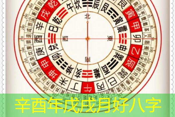  辛酉年戊戌月好八字