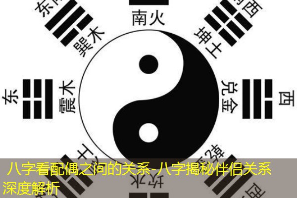  八字看配偶之间的关系-八字揭秘伴侣关系深度解析