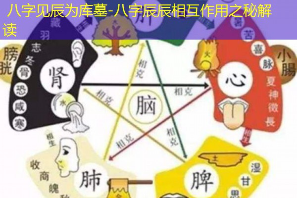 八字见辰为库墓-八字辰辰相互作用之秘解读