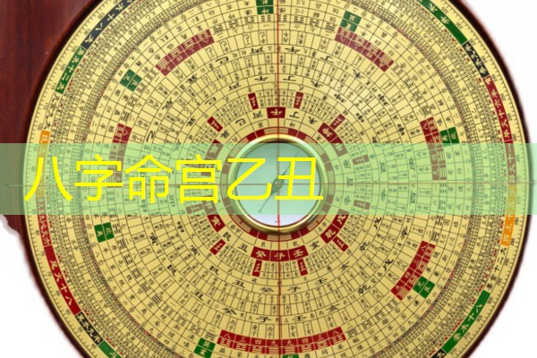  八字命宫乙丑