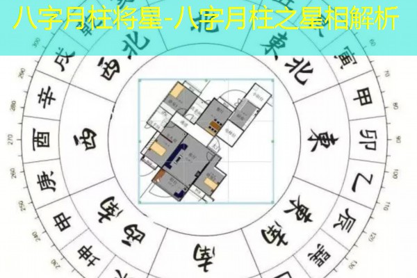  八字月柱将星-八字月柱之星相解析