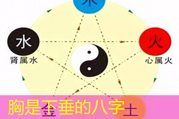  胸是下垂的八字