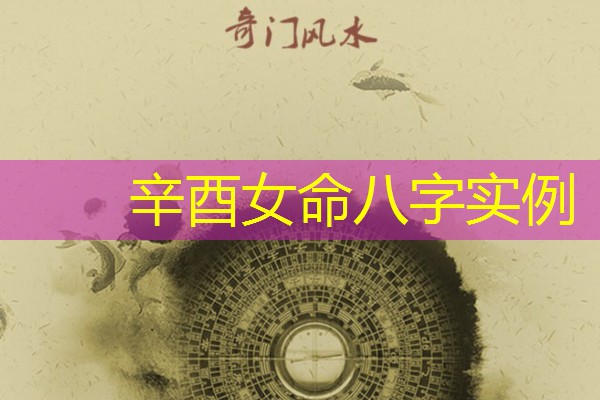  辛酉女命八字实例