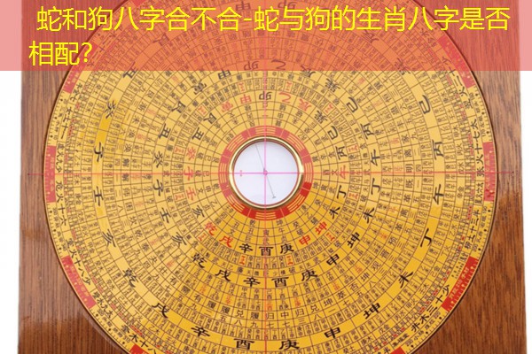  蛇和狗八字合不合-蛇与狗的生肖八字是否相配？