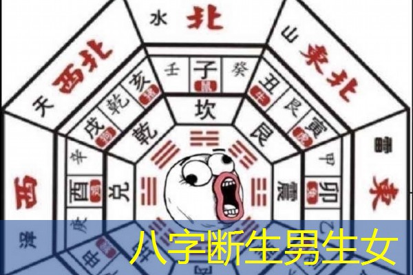  八字断生男生女