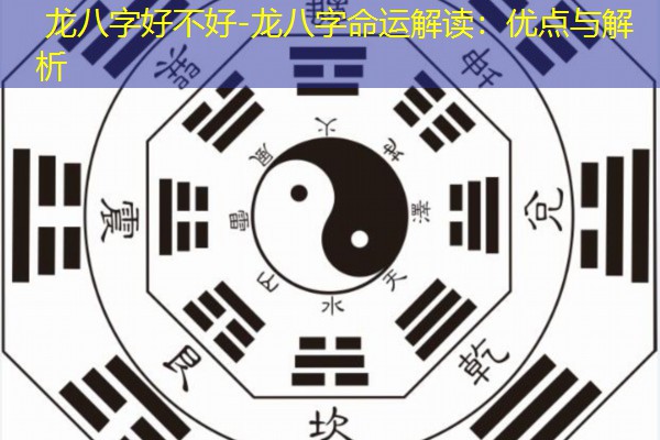  龙八字好不好-龙八字命运解读：优点与解析