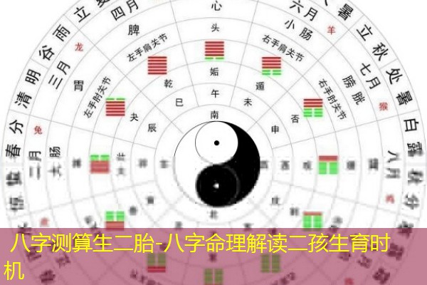  八字测算生二胎-八字命理解读二孩生育时机