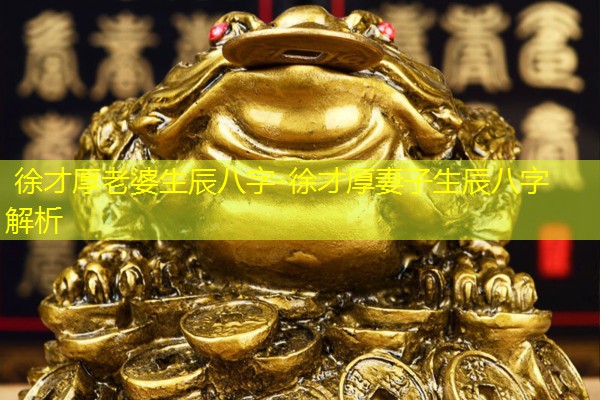  徐才厚老婆生辰八字-徐才厚妻子生辰八字解析