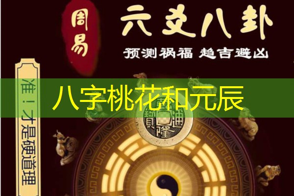  八字桃花和元辰
