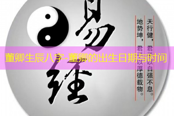  董卿生辰八字-董卿的出生日期与时间