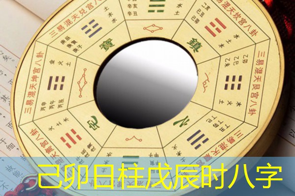  己卯日柱戊辰时八字