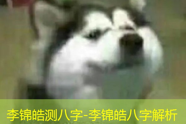  李锦皓测八字-李锦皓八字解析