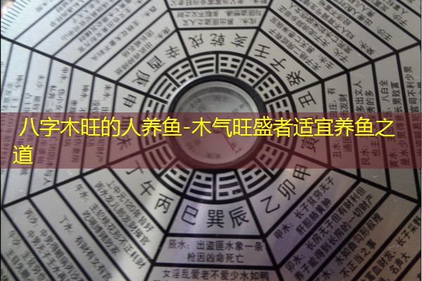  八字木旺的人养鱼-木气旺盛者适宜养鱼之道