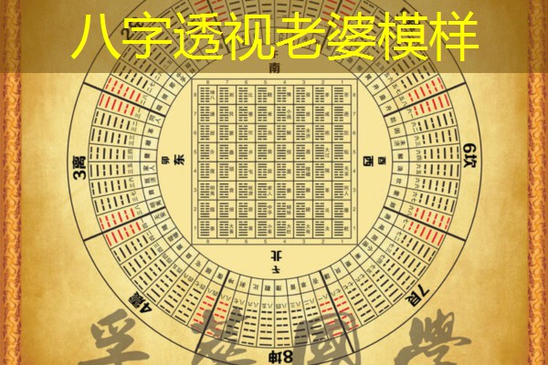  八字透视老婆模样