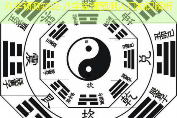  八字预测知识-八字命理预测入门知识解析
