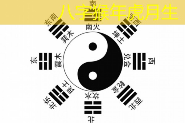  八字猴年虎月生