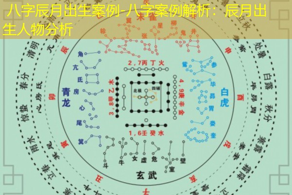  八字辰月出生案例-八字案例解析：辰月出生人物分析