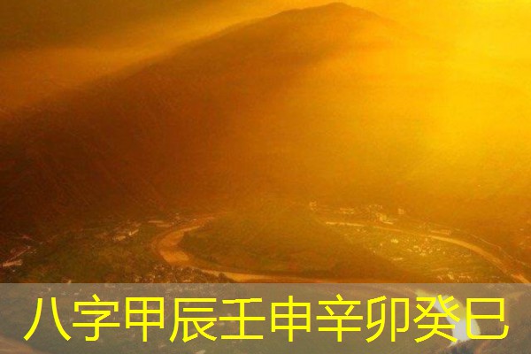  八字甲辰壬申辛卯癸巳