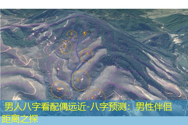  男人八字看配偶远近-八字预测：男性伴侣距离之探