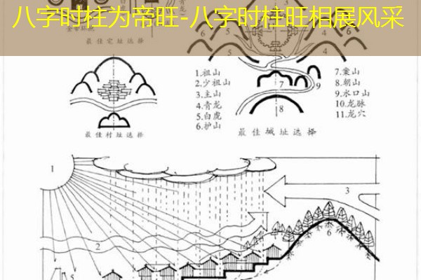  八字时柱为帝旺-八字时柱旺相展风采