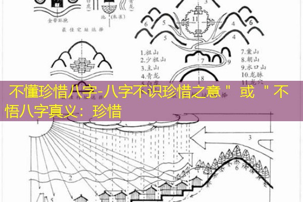  不懂珍惜八字-八字不识珍惜之意＂ 或 ＂不悟八字真义：珍惜