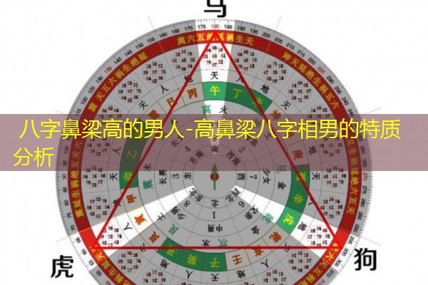  八字鼻梁高的男人-高鼻梁八字相男的特质分析