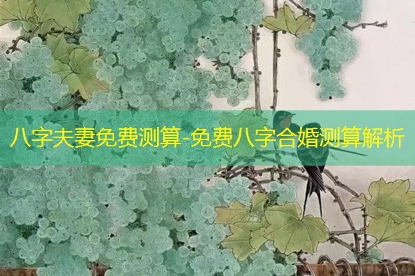  八字夫妻免费测算-免费八字合婚测算解析