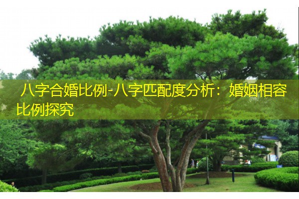  八字合婚比例-八字匹配度分析：婚姻相容比例探究