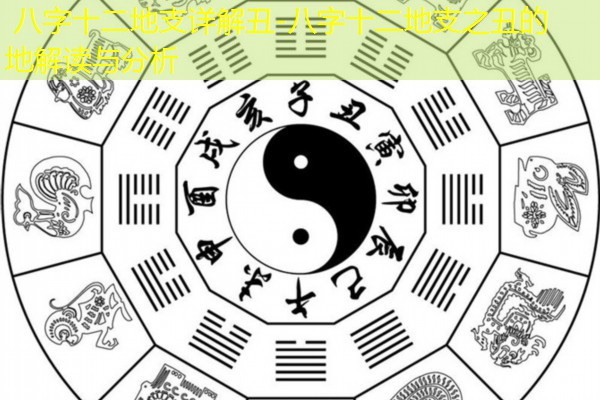  八字十二地支详解丑-八字十二地支之丑的地解读与分析